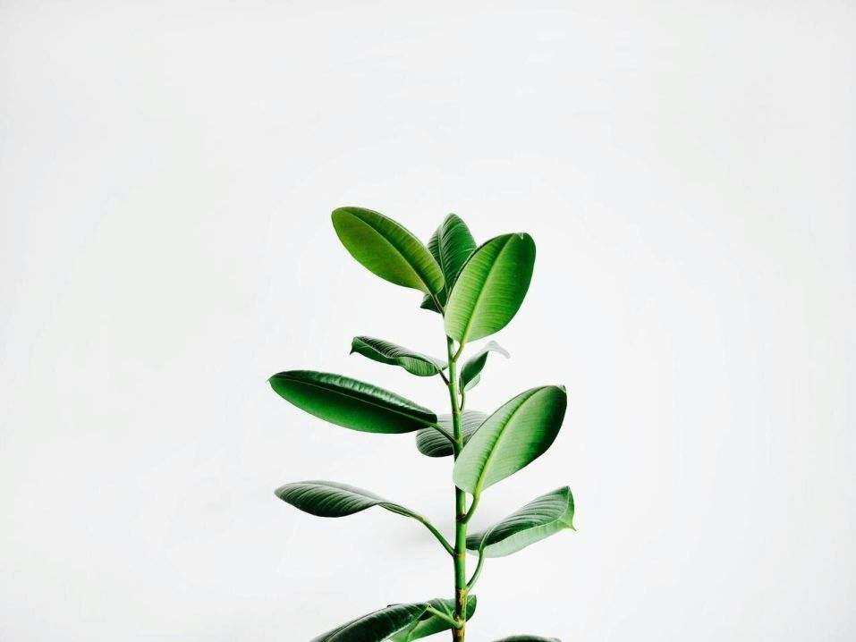 Fallstudie 1